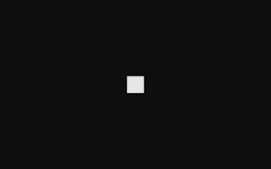 Why does the image on a entry appear as a white square on a black background?  